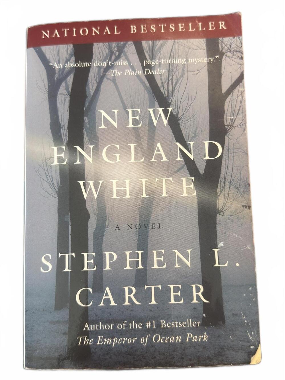New England White by Stephen L. Carter - National Bestseller Paperback Novel